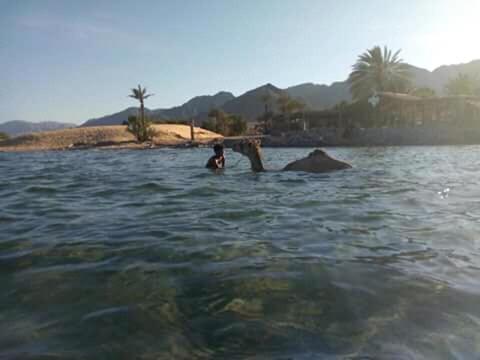 Sebaii Camp السباعى كامب شاطئ الترابين بجوار ويت بالس Vandrehjem Nuweiba` Eksteriør billede
