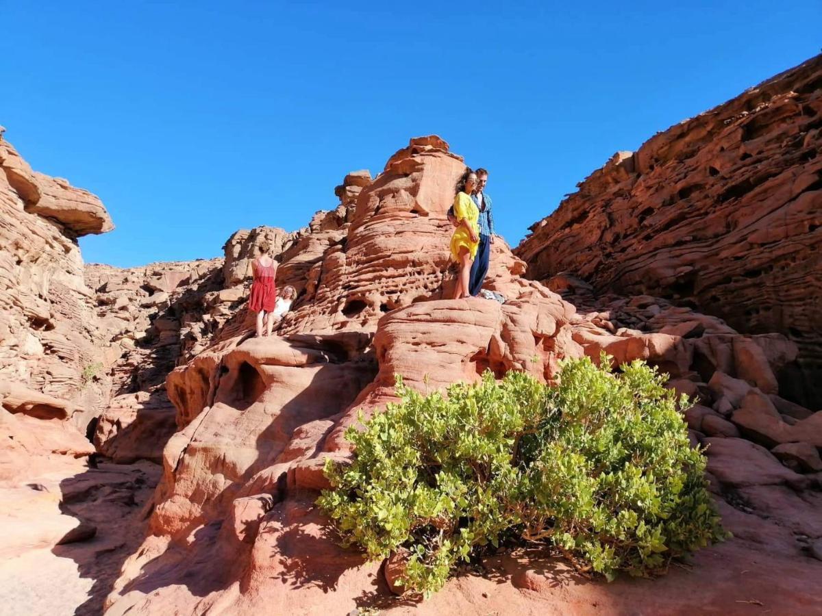 Sebaii Camp السباعى كامب شاطئ الترابين بجوار ويت بالس Vandrehjem Nuweiba` Eksteriør billede