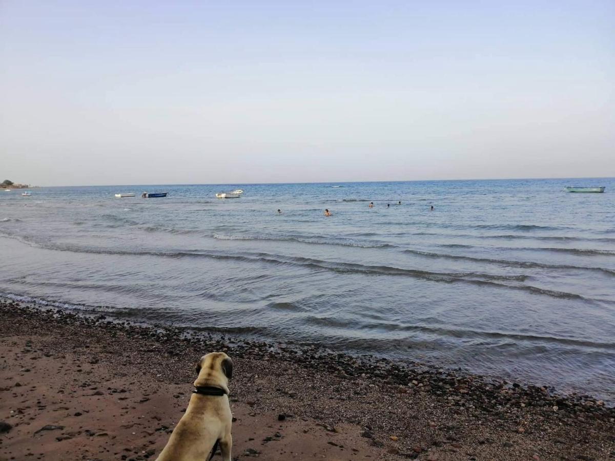 Sebaii Camp السباعى كامب شاطئ الترابين بجوار ويت بالس Vandrehjem Nuweiba` Eksteriør billede