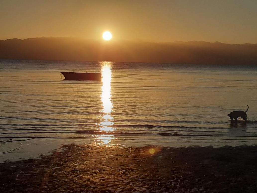 Sebaii Camp السباعى كامب شاطئ الترابين بجوار ويت بالس Vandrehjem Nuweiba` Eksteriør billede
