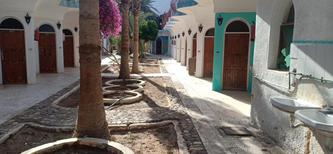 Sebaii Camp السباعى كامب شاطئ الترابين بجوار ويت بالس Vandrehjem Nuweiba` Eksteriør billede